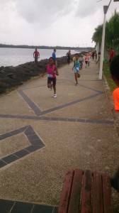 DuLAURICISQUE2016 DSC 0881