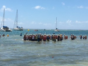 GWADLOUPTRI2016_GRENOUILLES_IMG_1519 